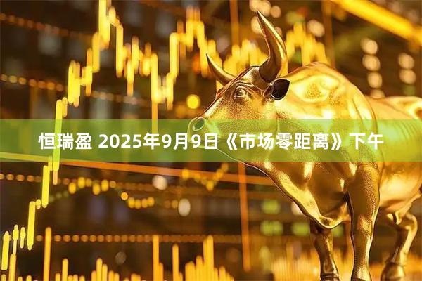 恒瑞盈 2025年9月9日《市场零距离》下午