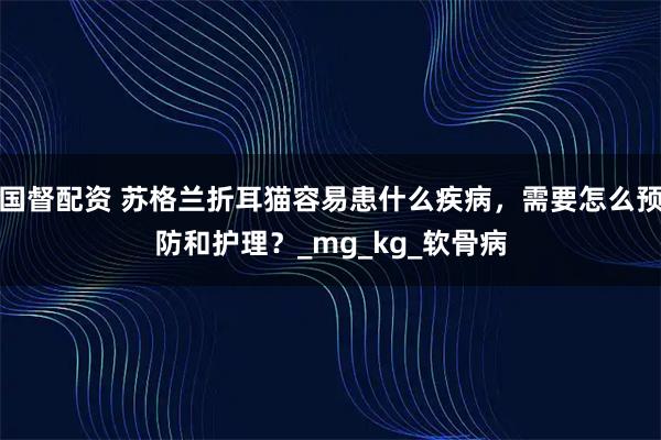 国督配资 苏格兰折耳猫容易患什么疾病，需要怎么预防和护理？_mg_kg_软骨病