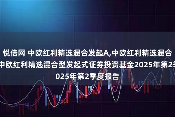 悦倍网 中欧红利精选混合发起A,中欧红利精选混合发起C: 中欧红利精选混合型发起式证券投资基金2025年第2季度报告